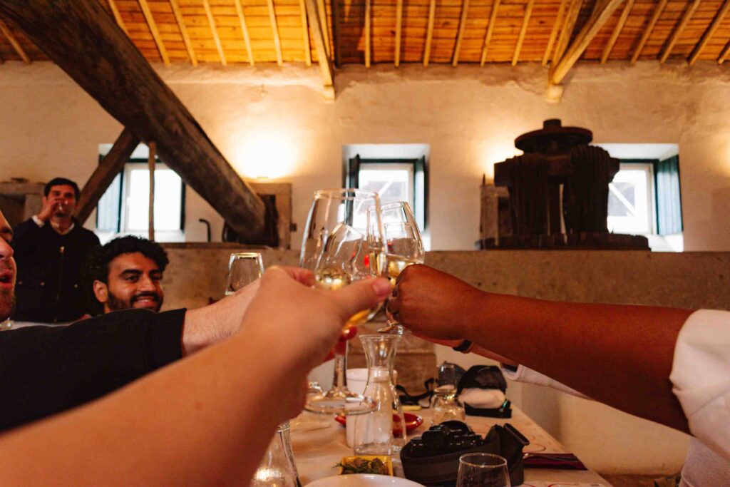 Wine tasting in Portugal with group of travelers clinking their glasses for a "cheers" on a group trip by Contiki