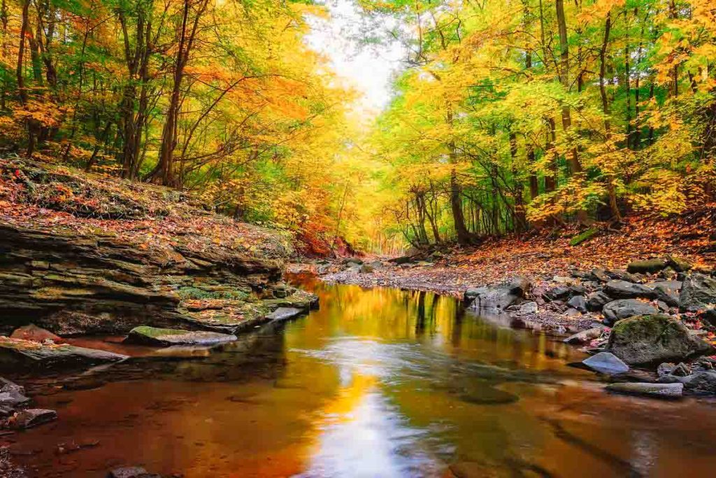 Beautiful state park with river flowing between layered rocks with fall foliage surrounding in Ohio