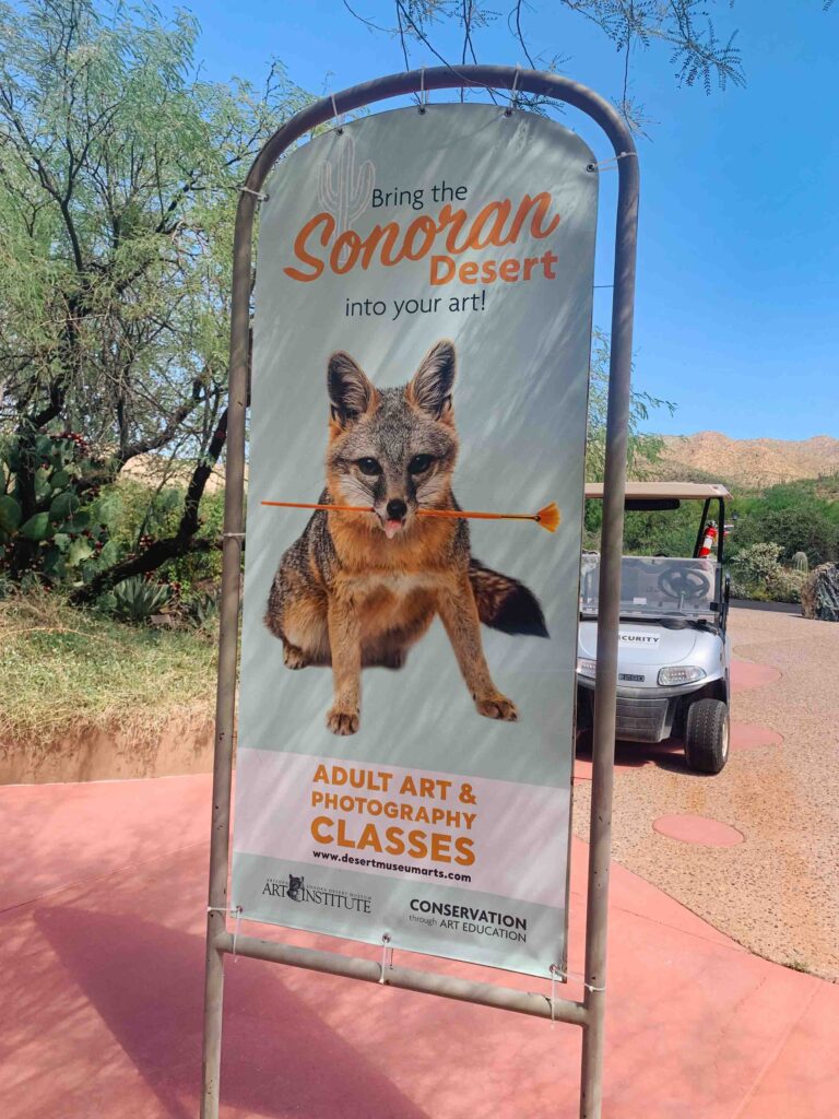 Sign outside Sonoran Desert Museum advertising art and photography classes in Tucson, Arizona