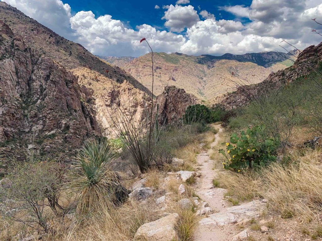 rocky trail winding through the desert mountains in Arizona; Sabino Canyon is one of the best hiking spots in Tucson