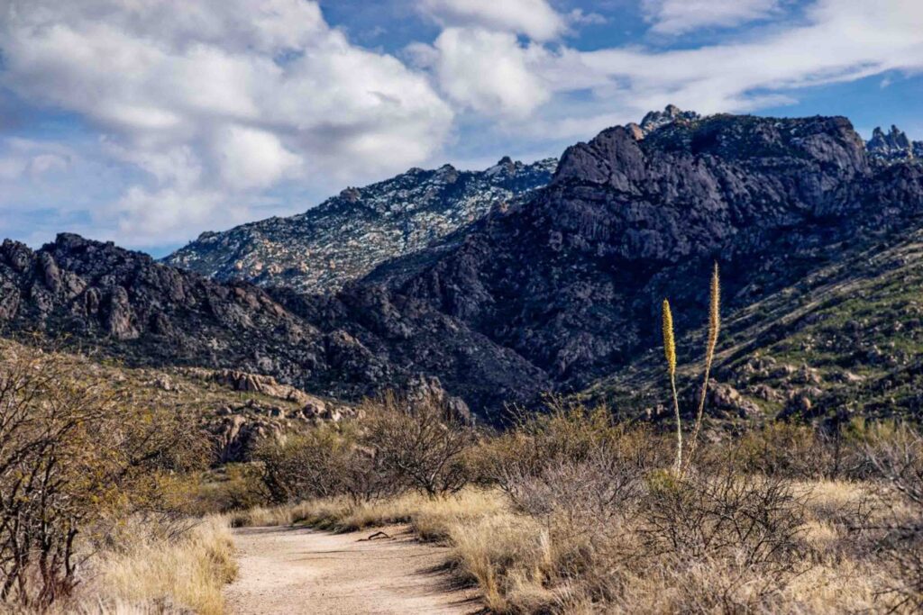 Arizona state park during winter; Catalina State Park shown here is beautiful covered in snow