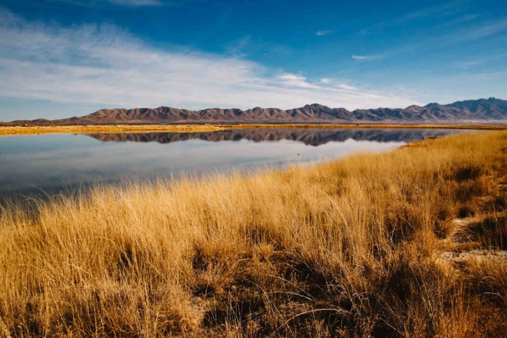 View of lush Cochise Twin Lakes near Willcox, Arizona during fall