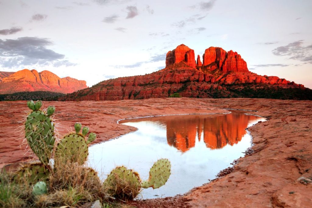 Cathedral Rock at sunset reflected in a pool of water with cactus in the foreground