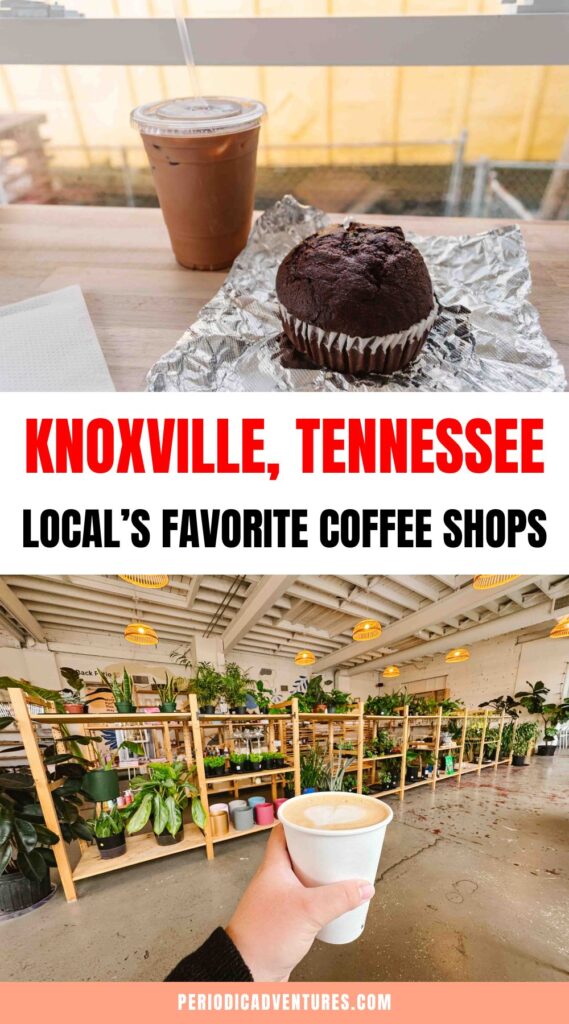 Knoxville Tennessee Local's Favorite Coffee Shops with ideas for where to work, which has the best food, and more!